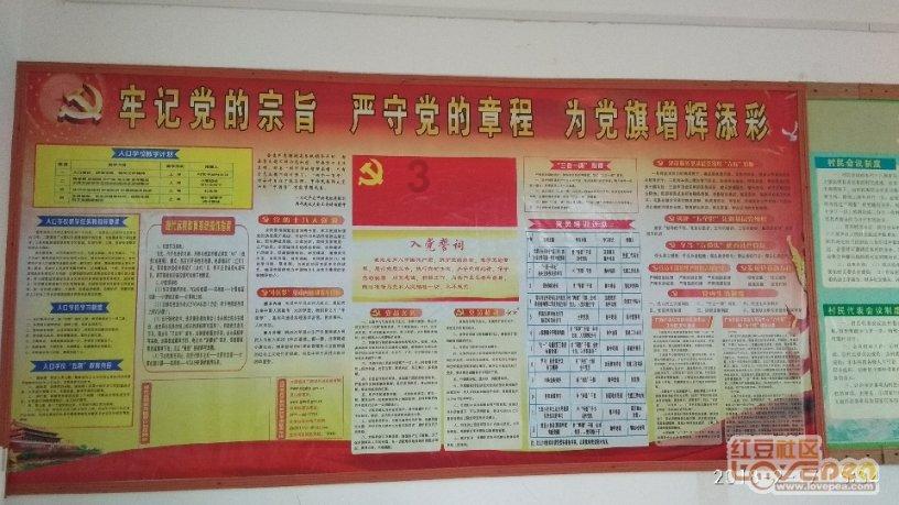 虫虫助手下载
